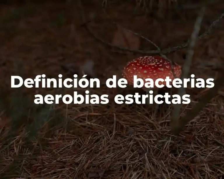 Definición de bacterias aerobias estrictas