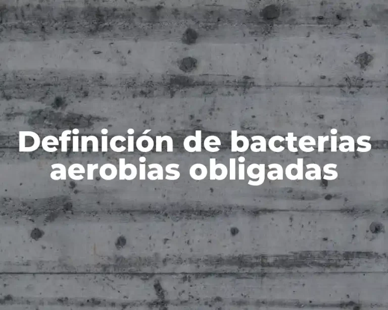 Definición de bacterias aerobias obligadas