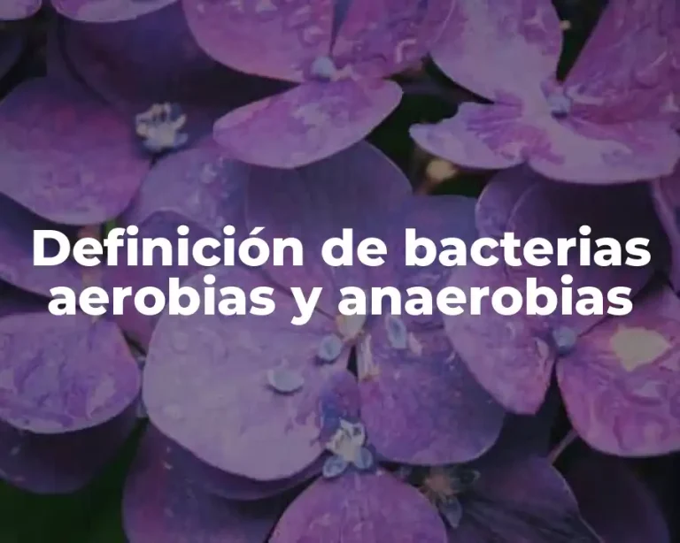 Definición de bacterias aerobias y anaerobias