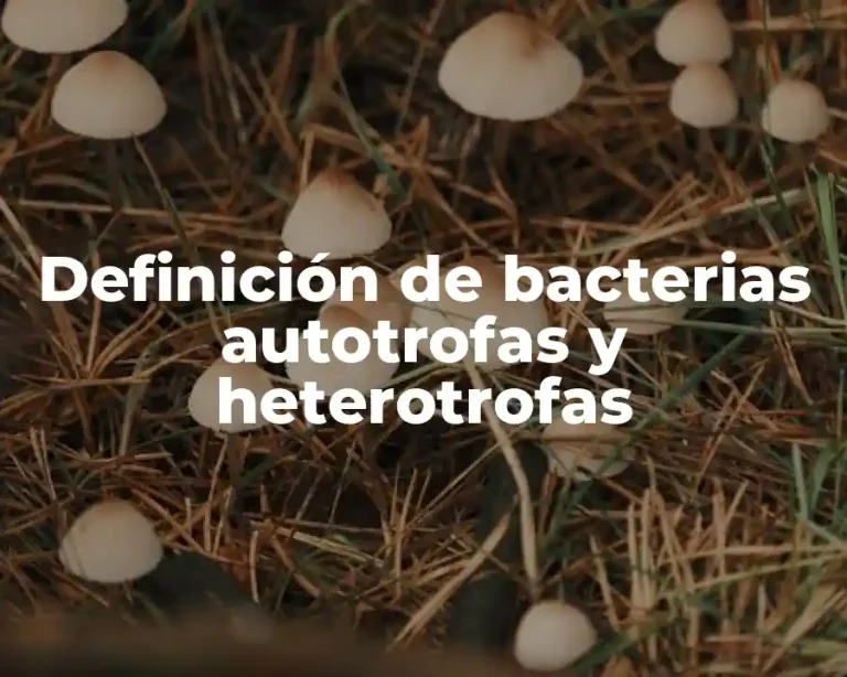 Definición de bacterias autotrofas y heterotrofas