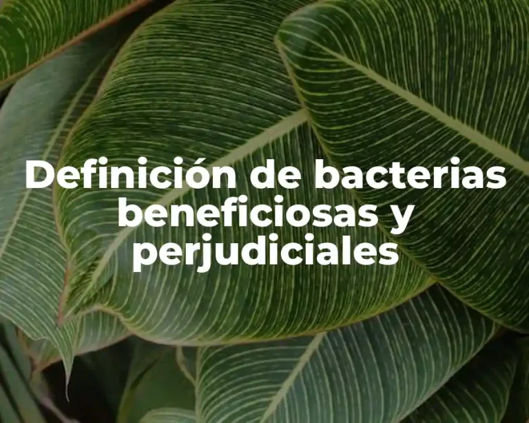 Definición de bacterias beneficiosas y perjudiciales
