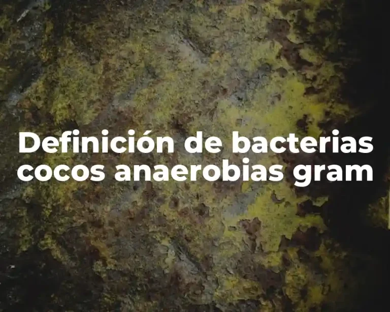 Definición de bacterias cocos anaerobias gram