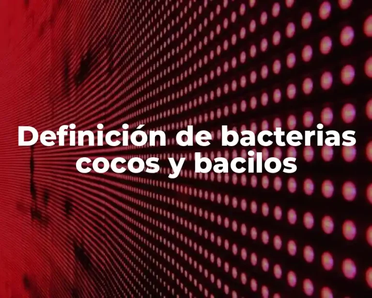 Definición de bacterias cocos y bacilos