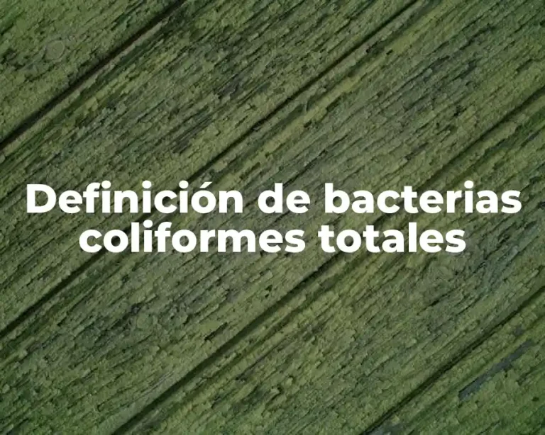 Definición de bacterias coliformes totales