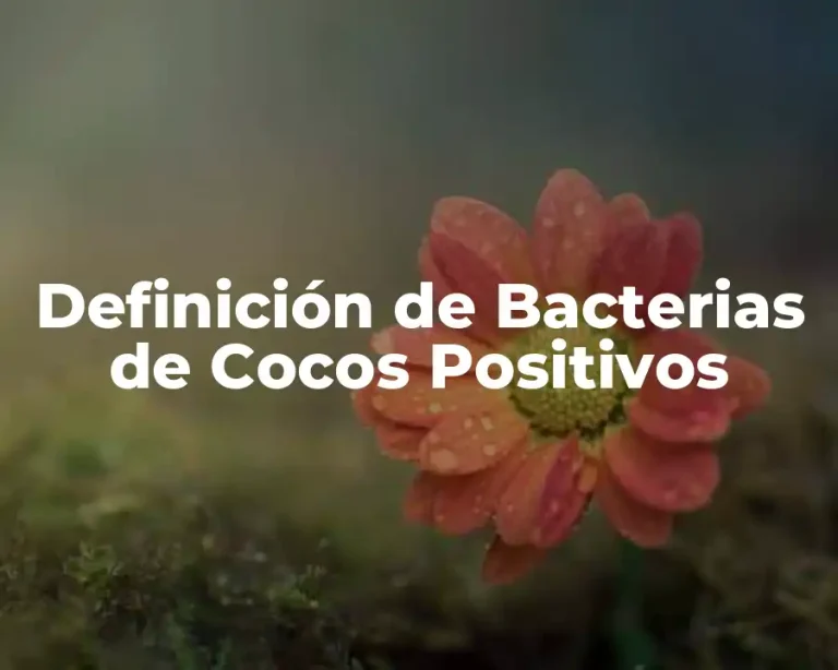 Definición de Bacterias de Cocos Positivos