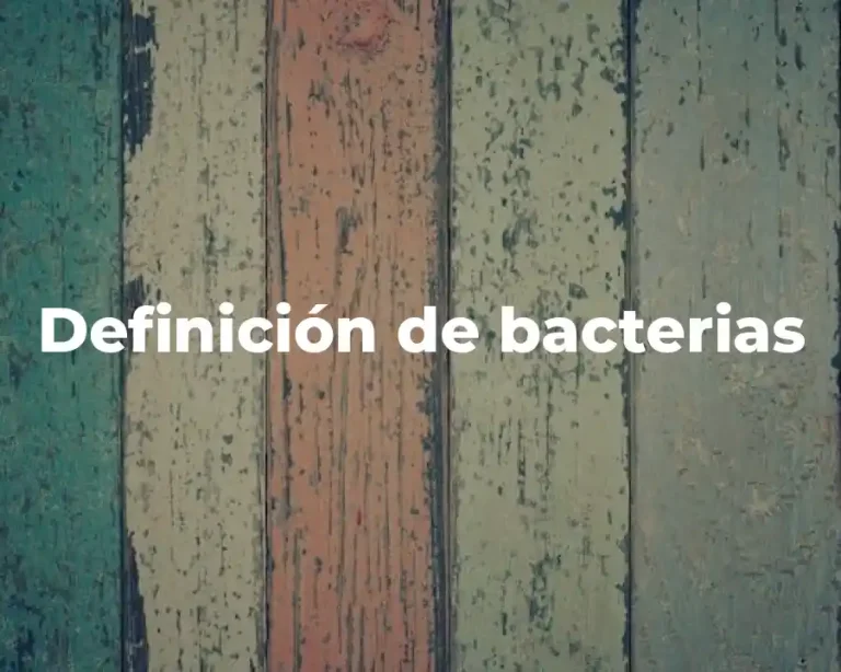 Definición de bacterias