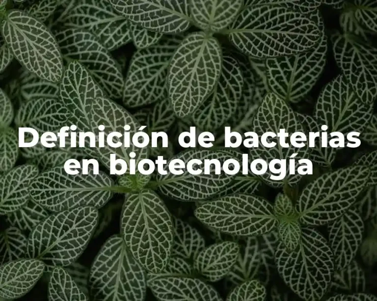 Definición de bacterias en biotecnología