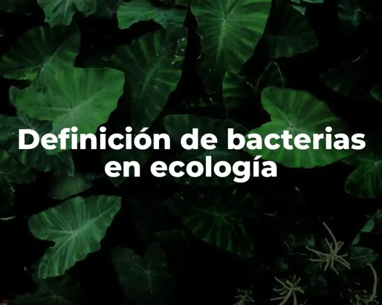 Definición de bacterias en ecología