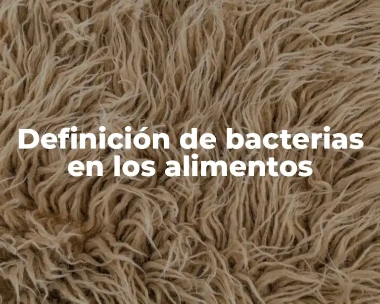 Definición de bacterias en los alimentos