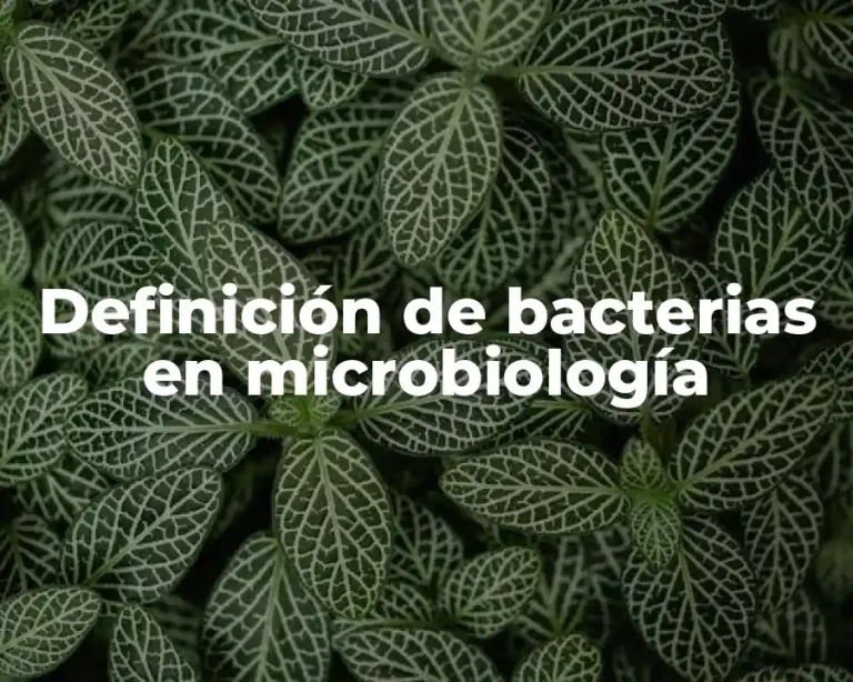 Definición de bacterias en microbiología