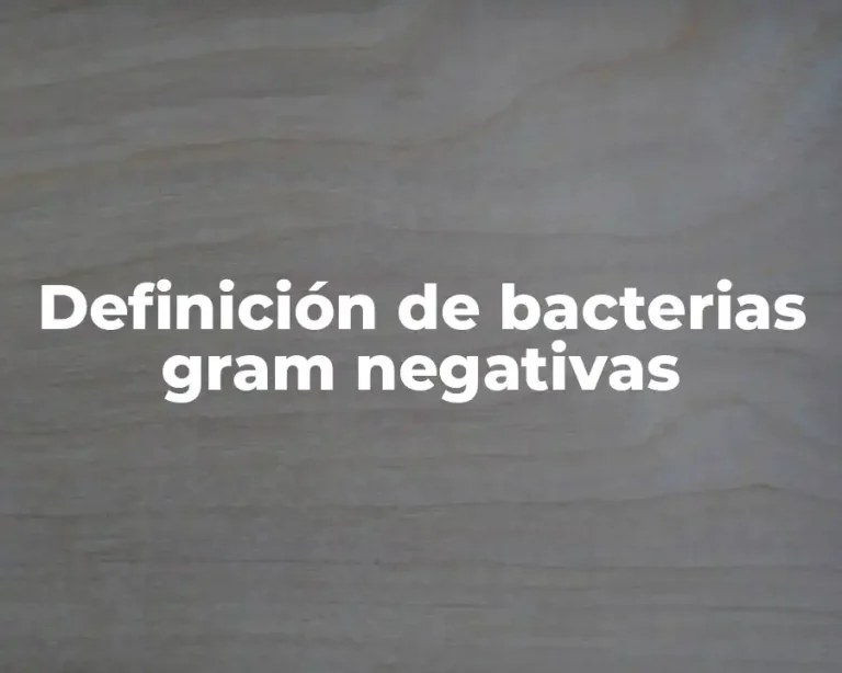 Definición de bacterias gram negativas