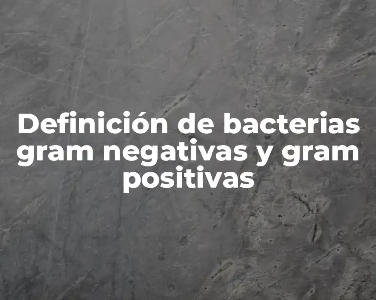 Definición de bacterias gram negativas y gram positivas