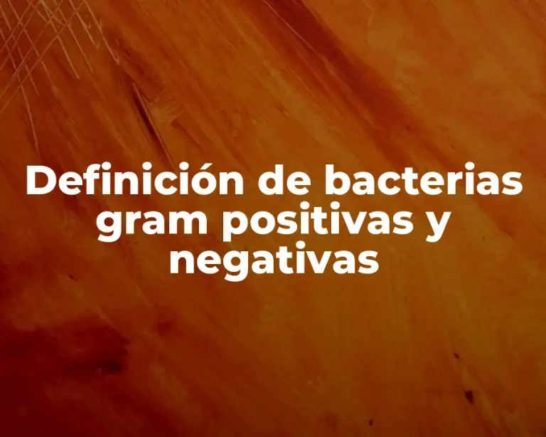 Definición de bacterias gram positivas y negativas