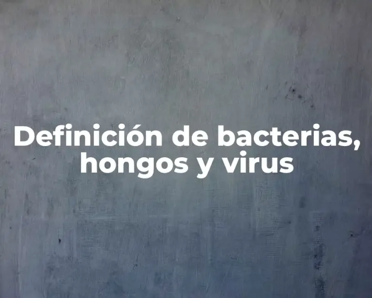 Definición de bacterias, hongos y virus