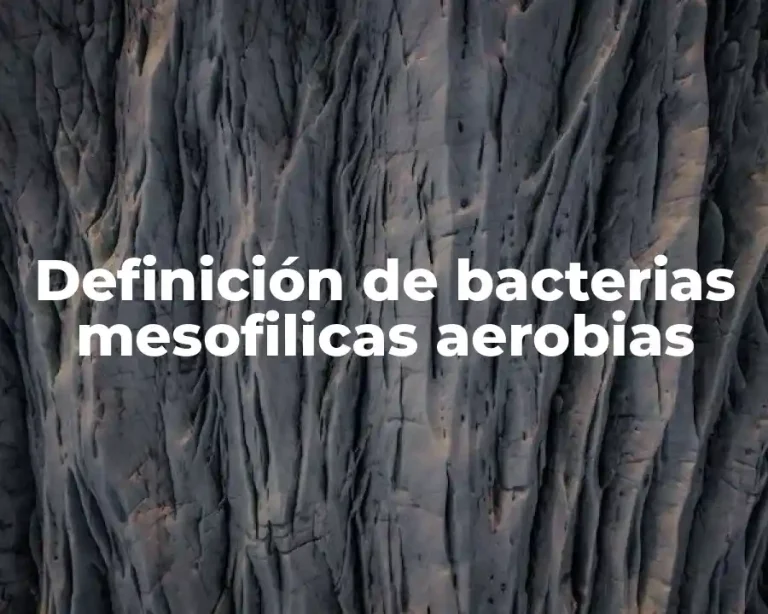 Definición de bacterias mesofilicas aerobias