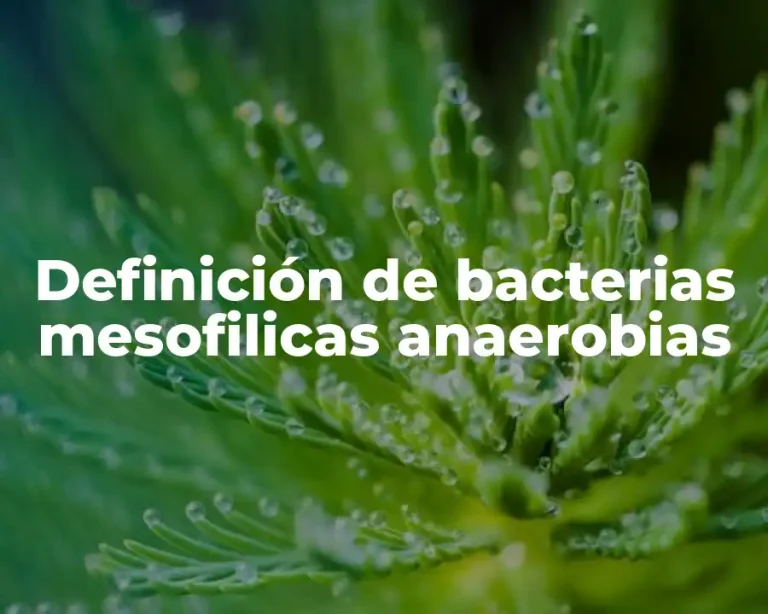 Definición de bacterias mesofilicas anaerobias