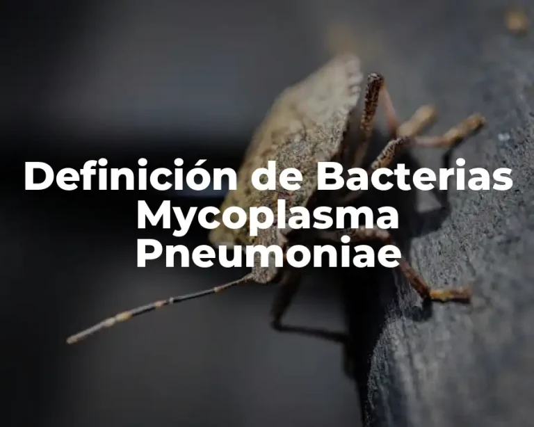 Definición de Bacterias Mycoplasma Pneumoniae