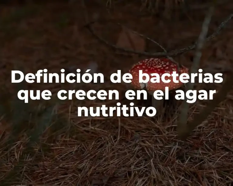 Definición de bacterias que crecen en el agar nutritivo