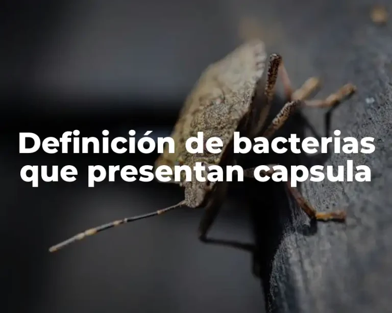 Definición de bacterias que presentan capsula
