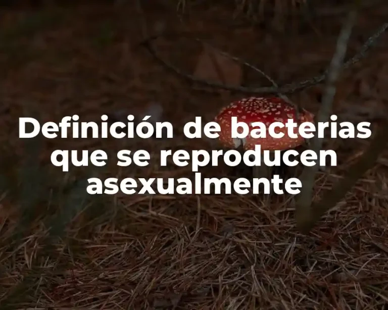 Definición de bacterias que se reproducen asexualmente