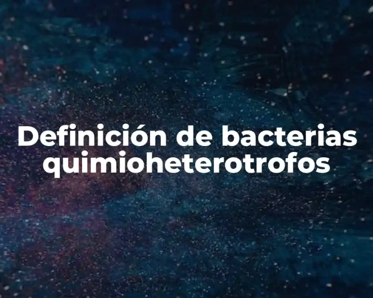 Definición de bacterias quimioheterotrofos