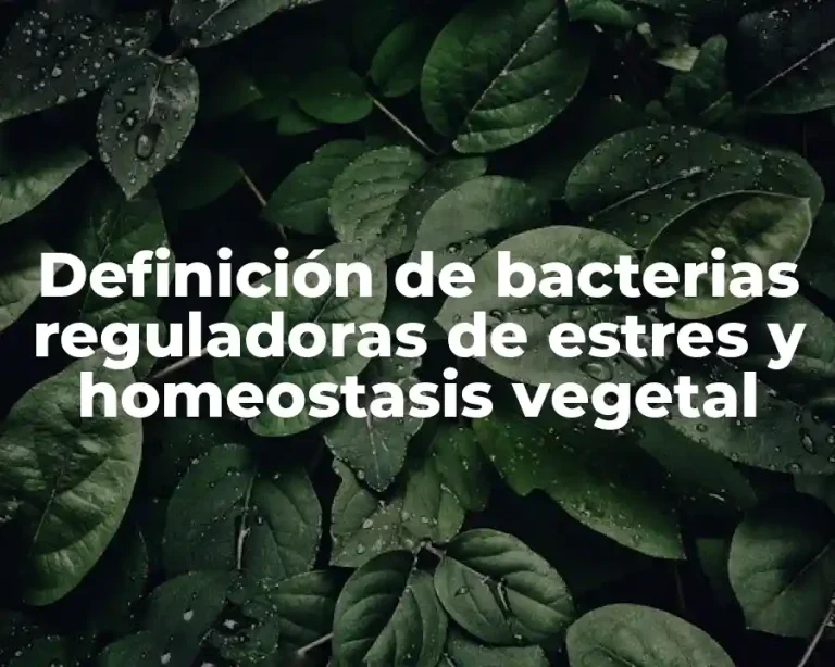 Definición de bacterias reguladoras de estres y homeostasis vegetal