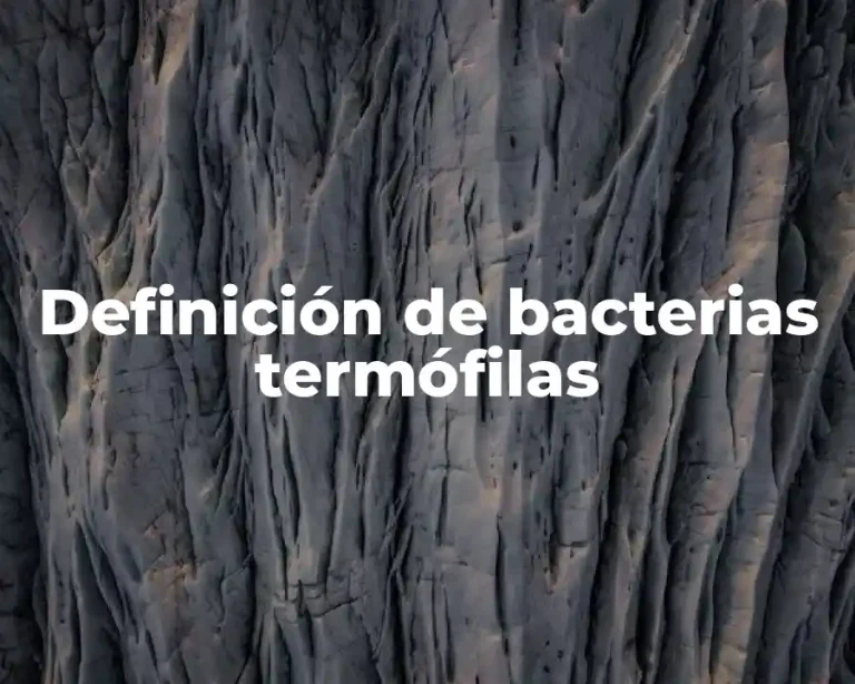 Definición de bacterias termófilas