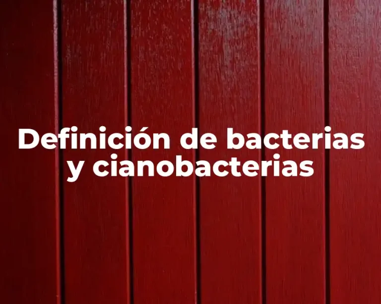 Definición de bacterias y cianobacterias