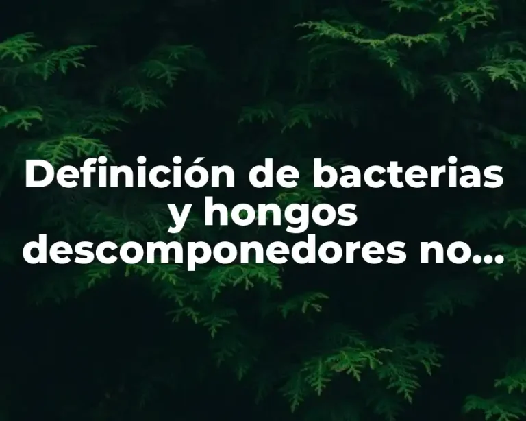 Definición de bacterias y hongos descomponedores no modificado