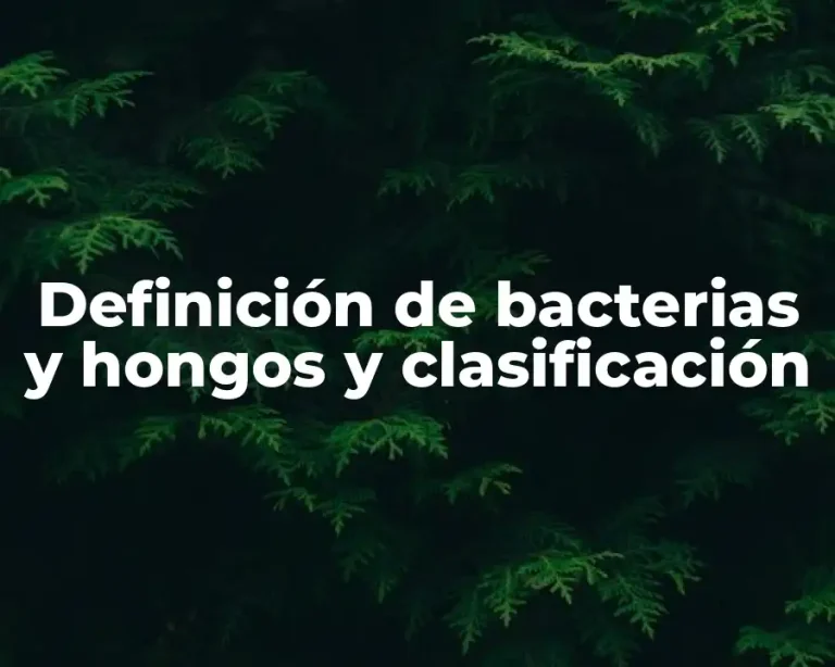 Definición de bacterias y hongos y clasificación