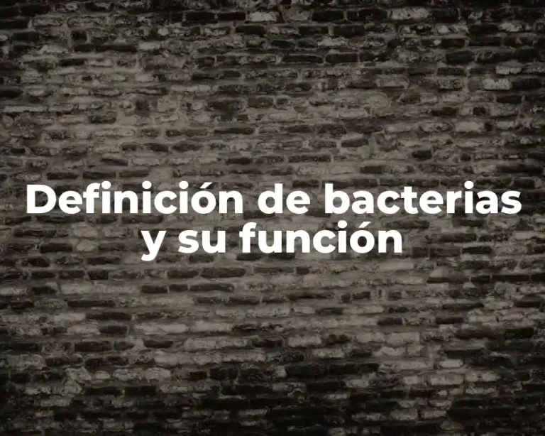 Definición de bacterias y su función