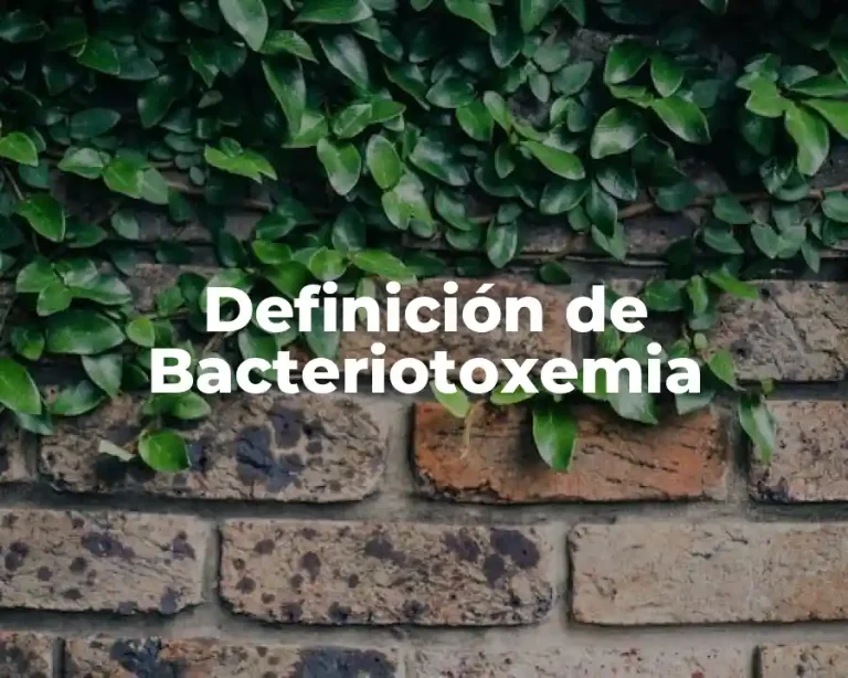 Definición de Bacteriotoxemia