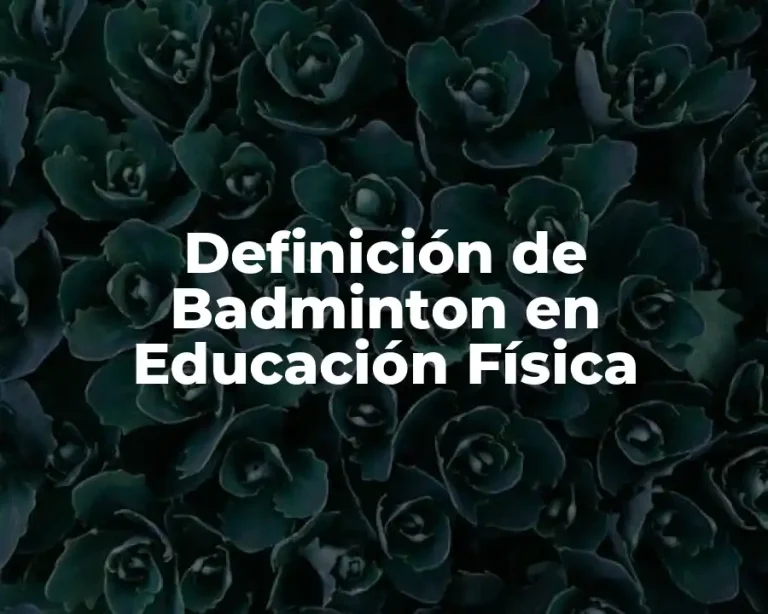 Definición de Badminton en Educación Física