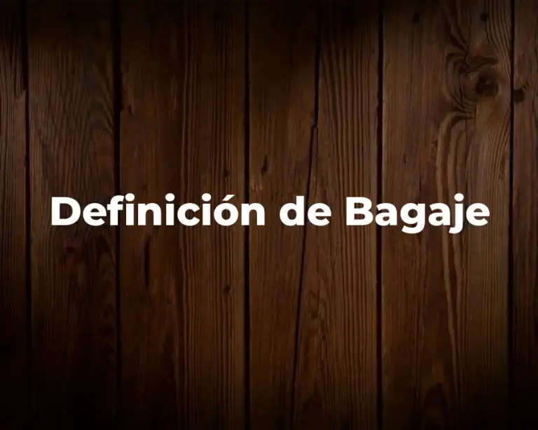Definición de Bagaje