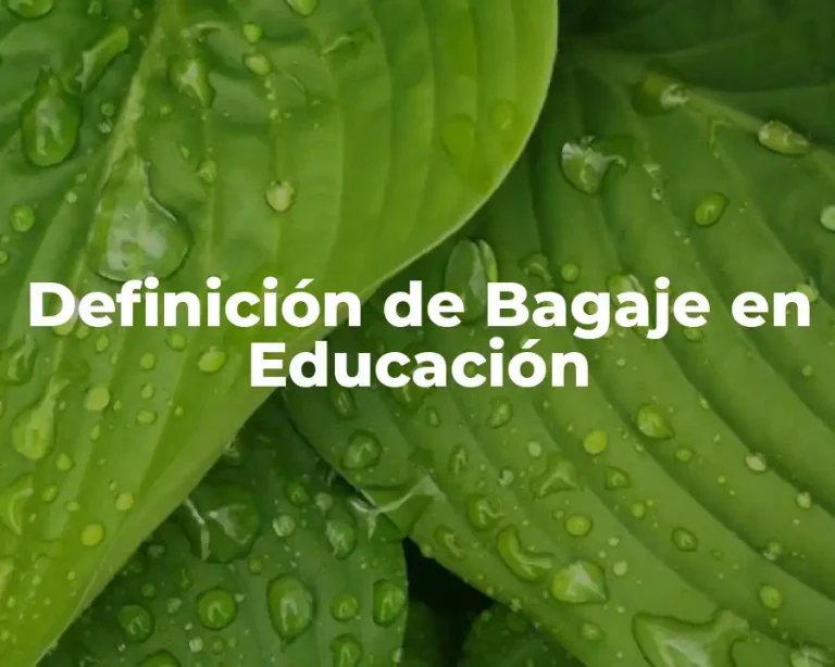Definición de Bagaje en Educación