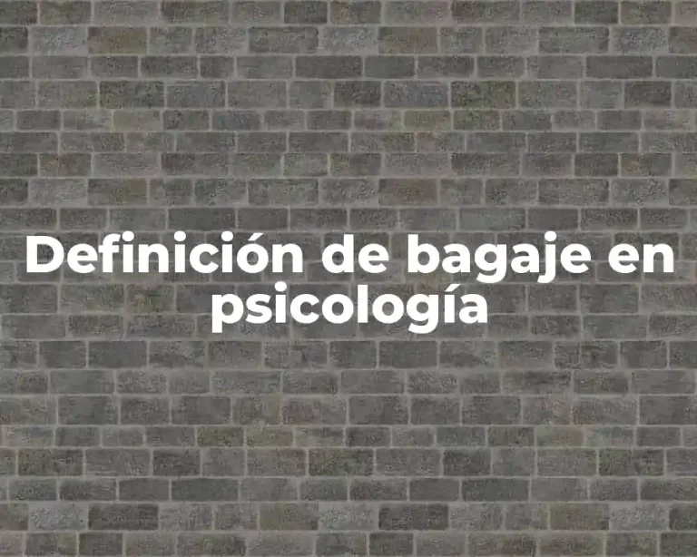 Definición de bagaje en psicología