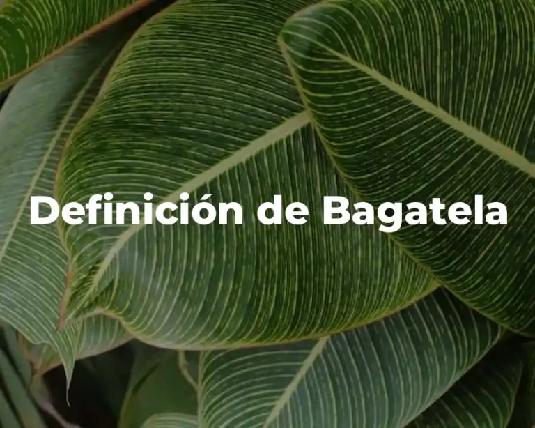 Definición de Bagatela