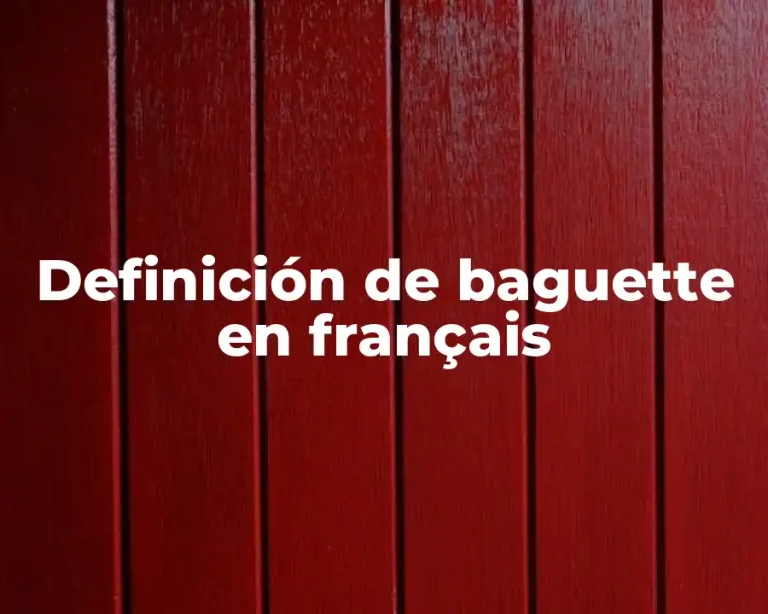 Definición de baguette en français