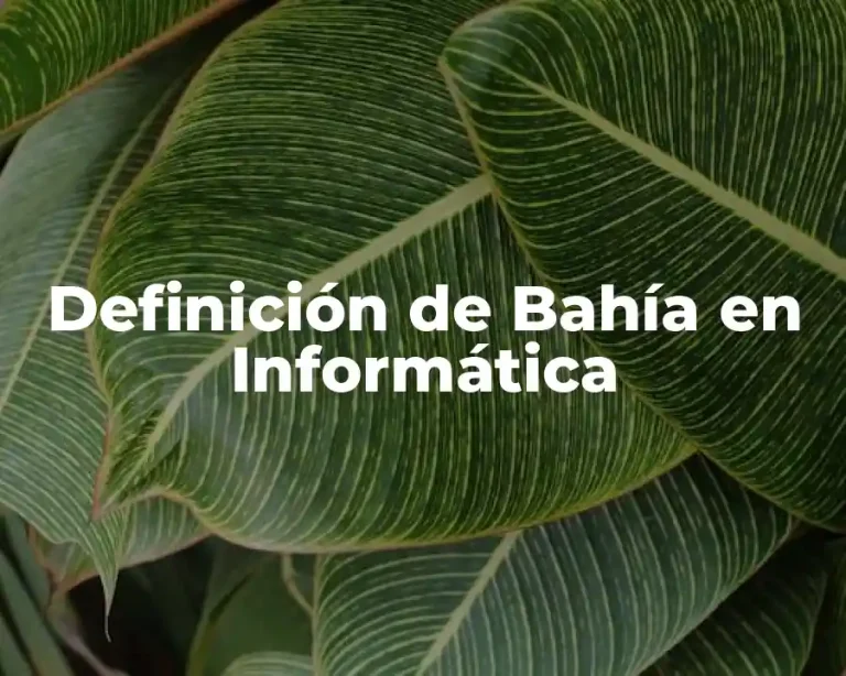 Definición de Bahía en Informática