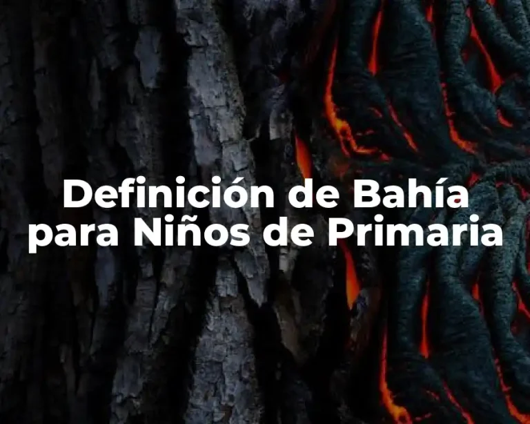 Definición de Bahía para Niños de Primaria