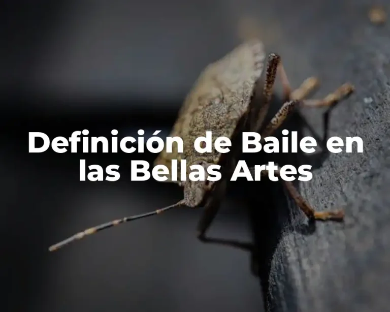 Definición de Baile en las Bellas Artes
