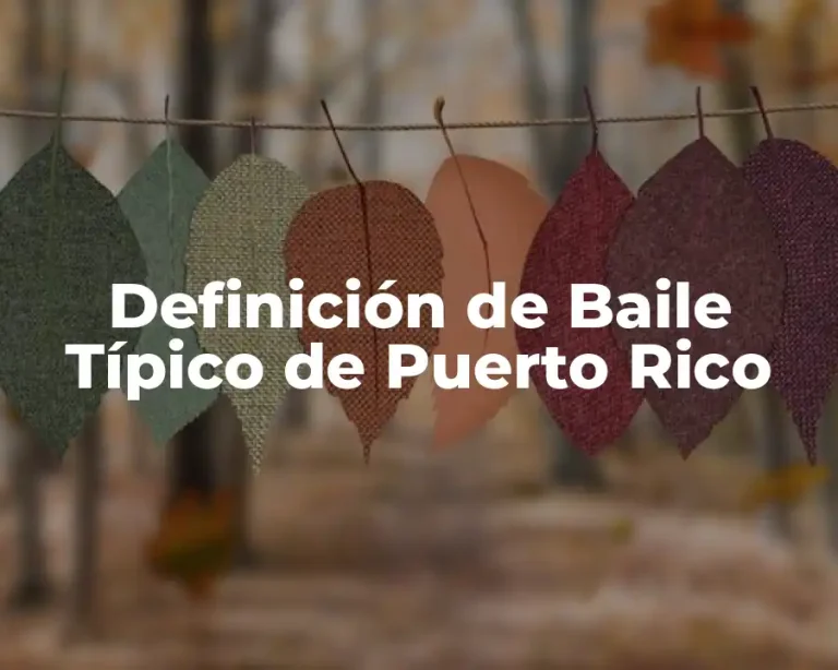Definición de Baile Típico de Puerto Rico
