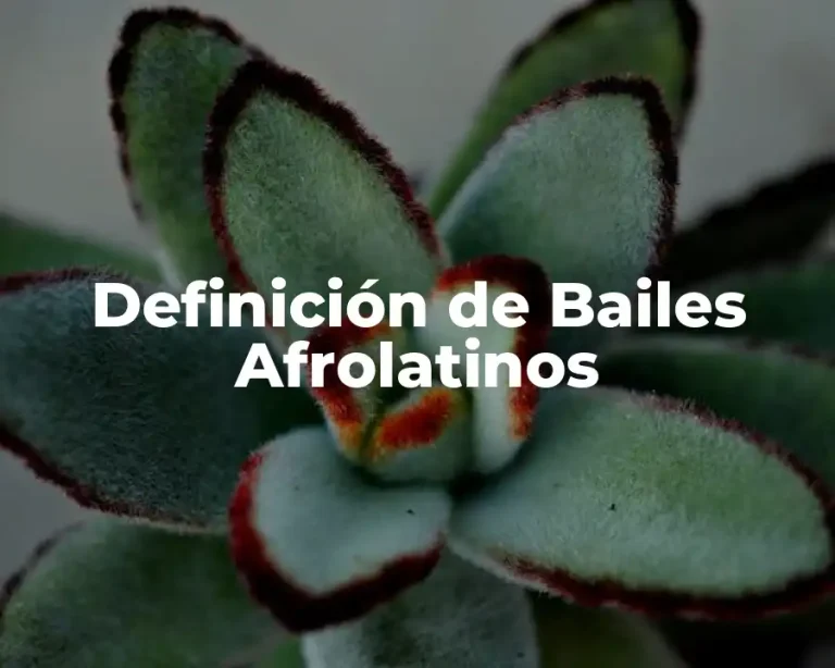 Definición de Bailes Afrolatinos