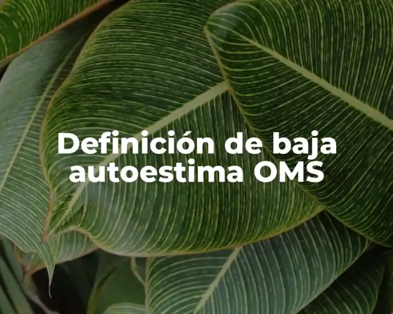 Definición de baja autoestima OMS