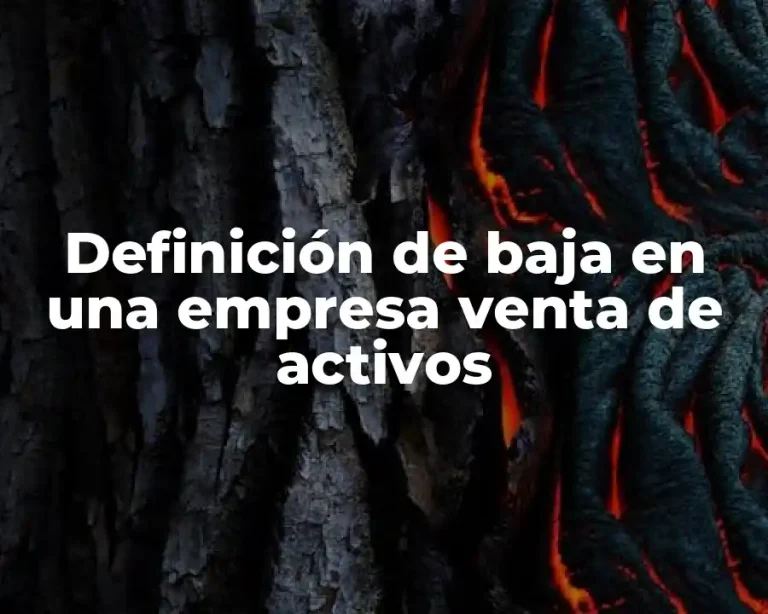 Definición de baja en una empresa venta de activos