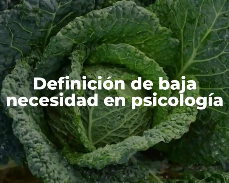 Definición de baja necesidad en psicología