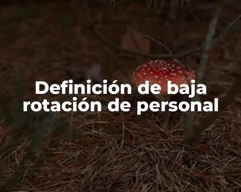 Definición de baja rotación de personal