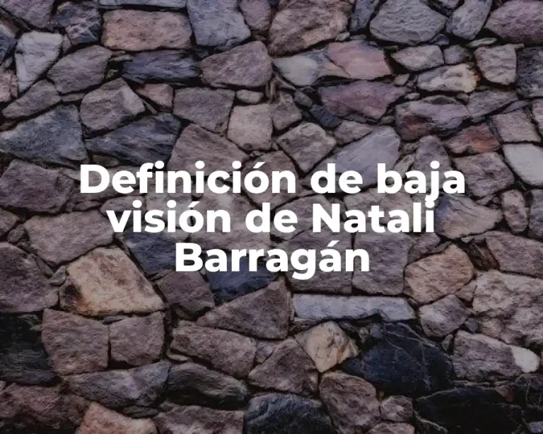 Definición de baja visión de Natali Barragán