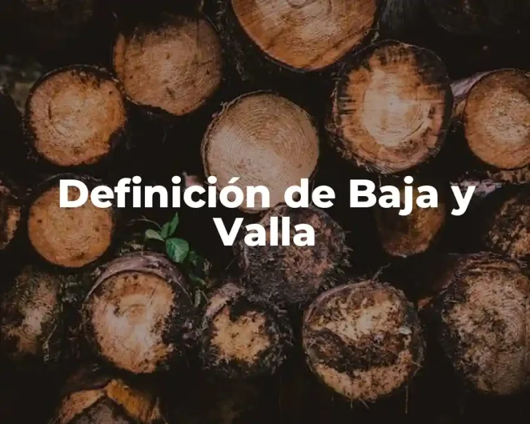 Definición de Baja y Valla