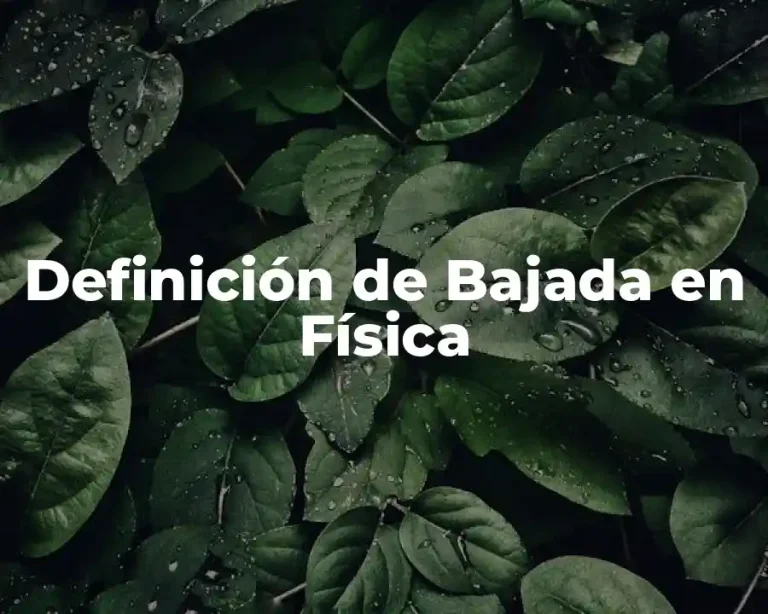 Definición de Bajada en Física